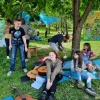 Про участь у міському еко-пікніку «Дерево FEST»