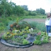 Про участь у Всеукраїнському конкурсі  з квітникарства та ландшафтного  дизайну „Квітуча Україна”